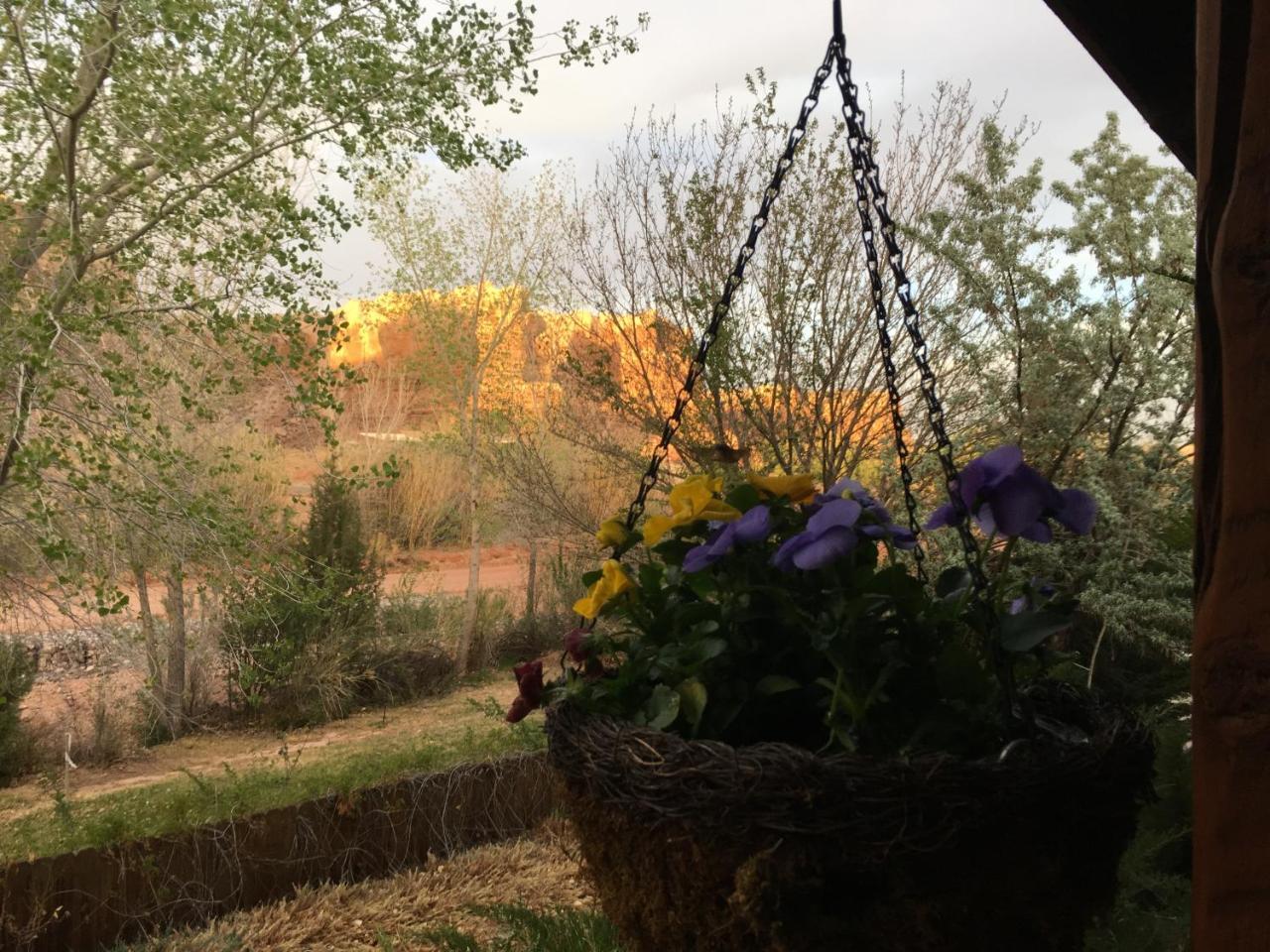 Canyon Wren Bed And Breakfast 布拉夫 外观 照片